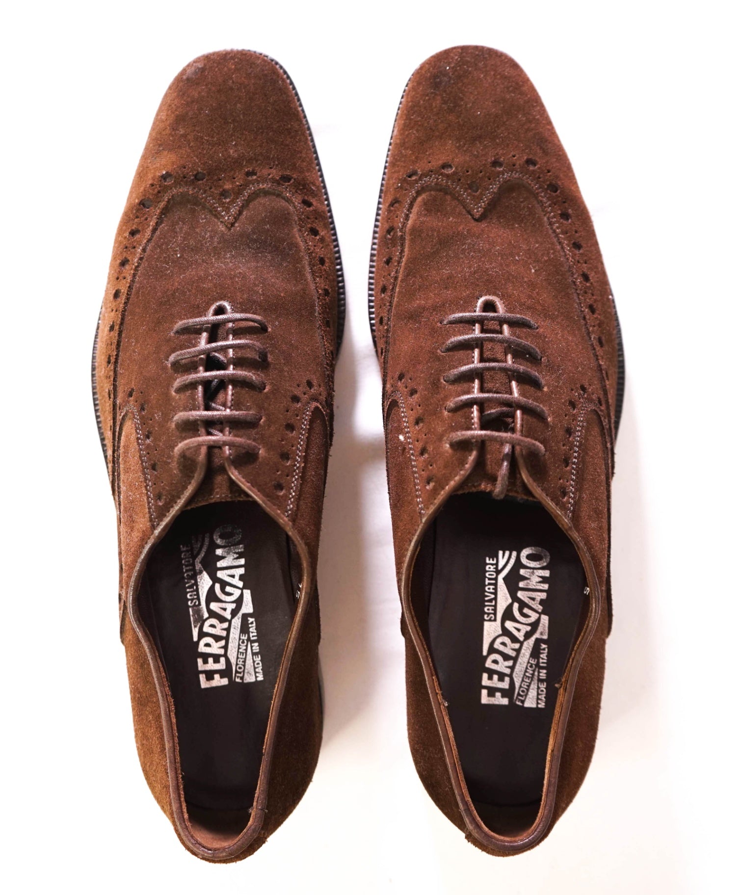 $880 SALVATORE FERRAGAMO - Suede Brown Wingtip Oxfords - 7 D