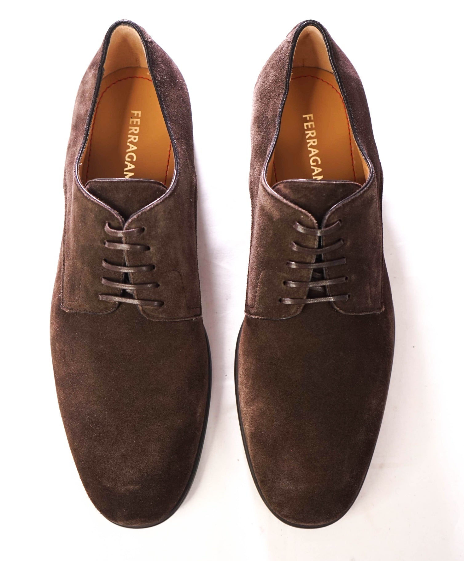 $880 FERRAGAMO - "FOSCO" Chocolate Brown Suede Derby - 10 E
