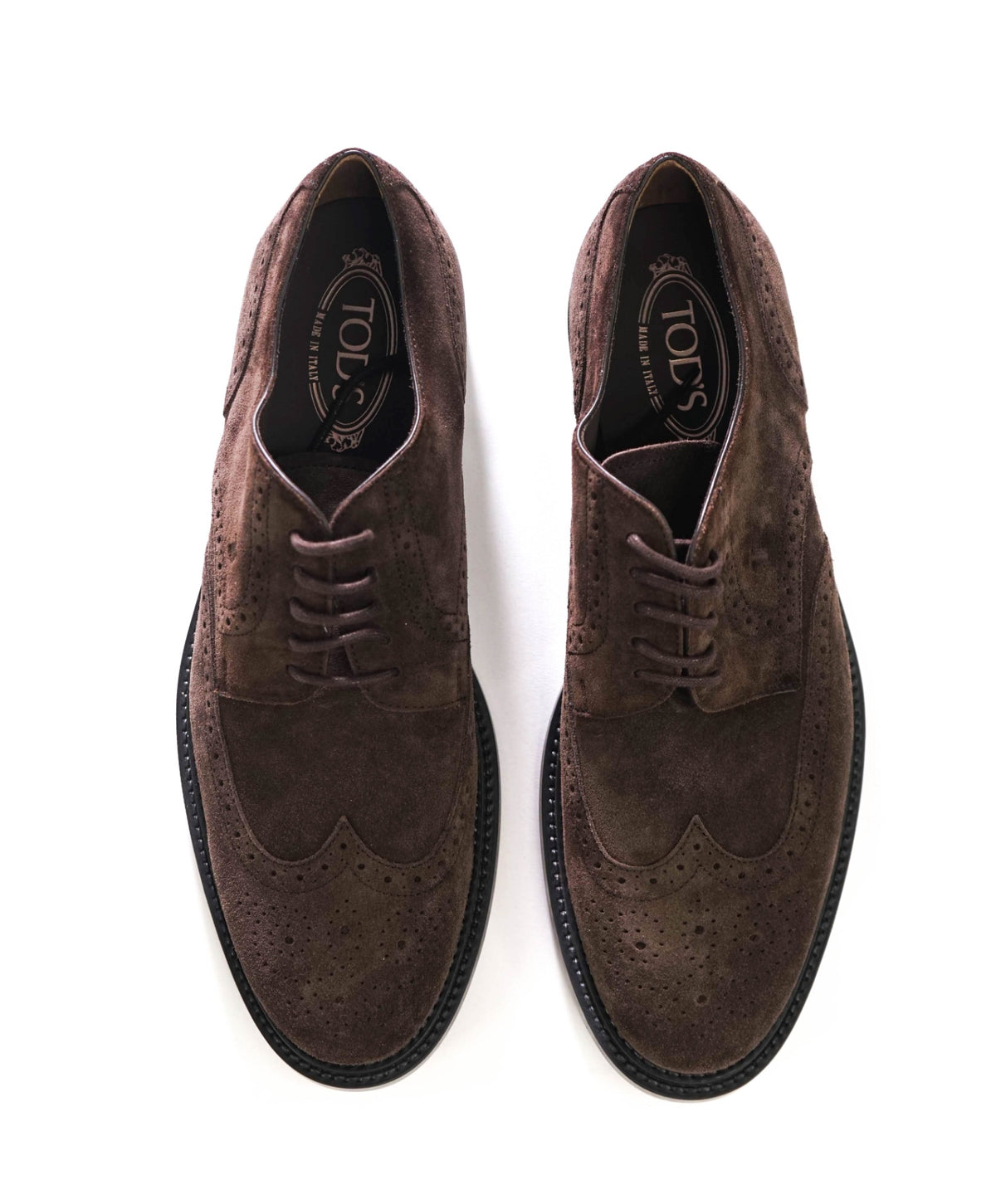 $925 TOD'S - Brown Suede Wingtip Derbies - US 10.5 (9.5UK)